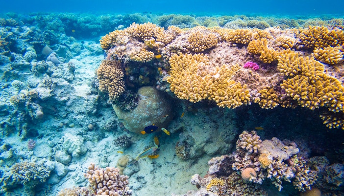 Caves of the Careless Reef in Hurghada