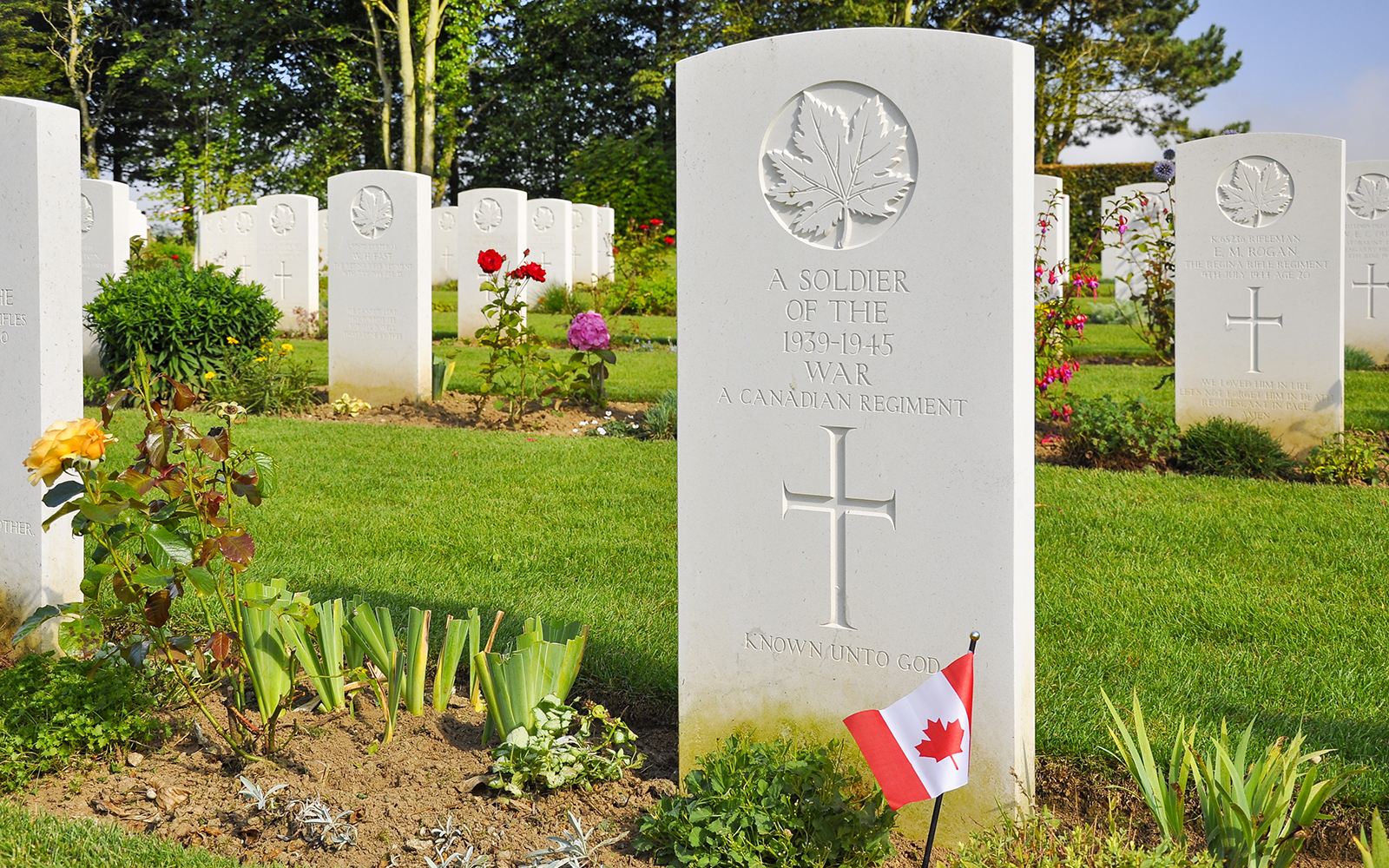 Canadian war graves with flags at Normandy cemetery, France.