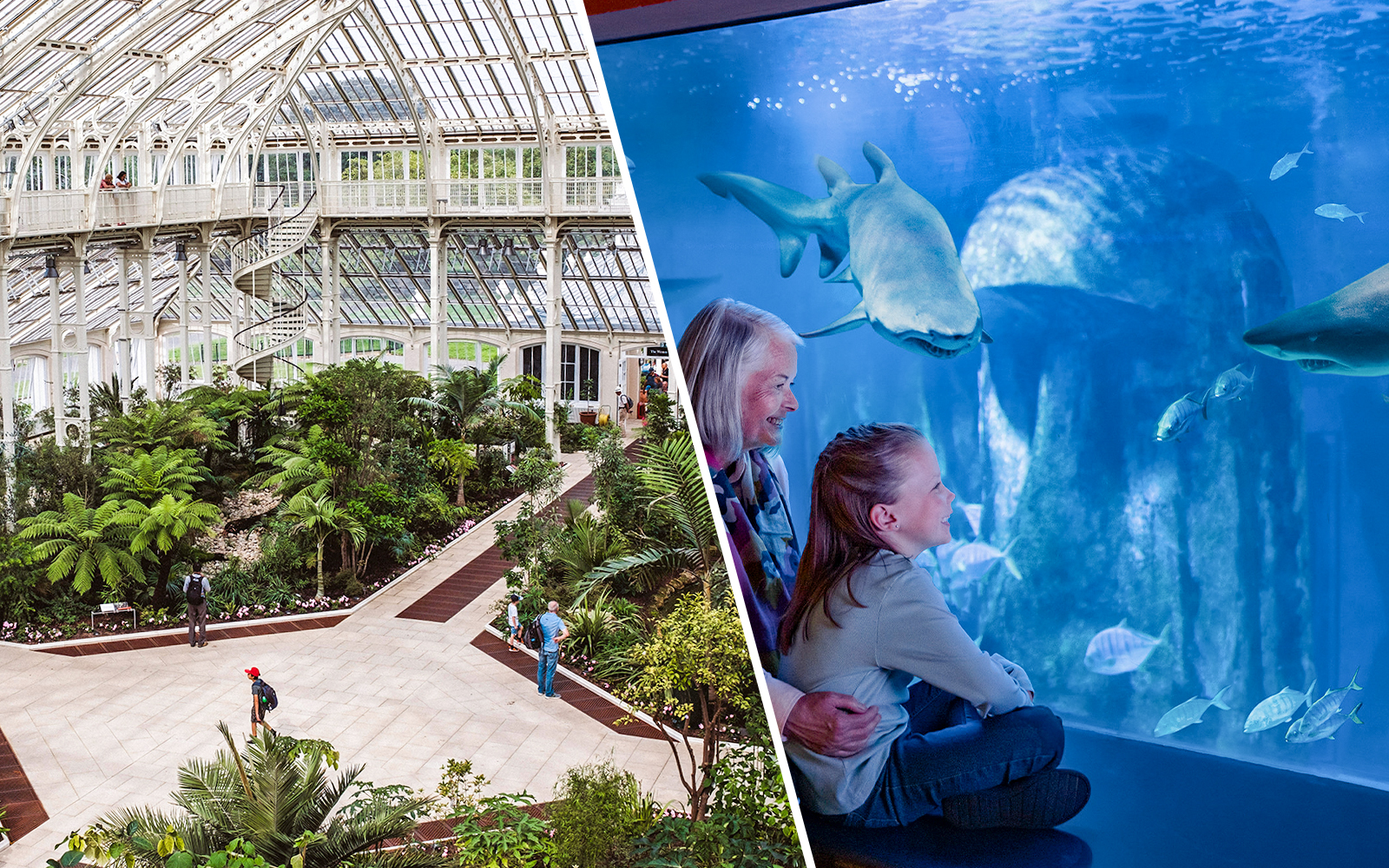 Kew Gardens & SEA LIFE London Aquarium Tickets