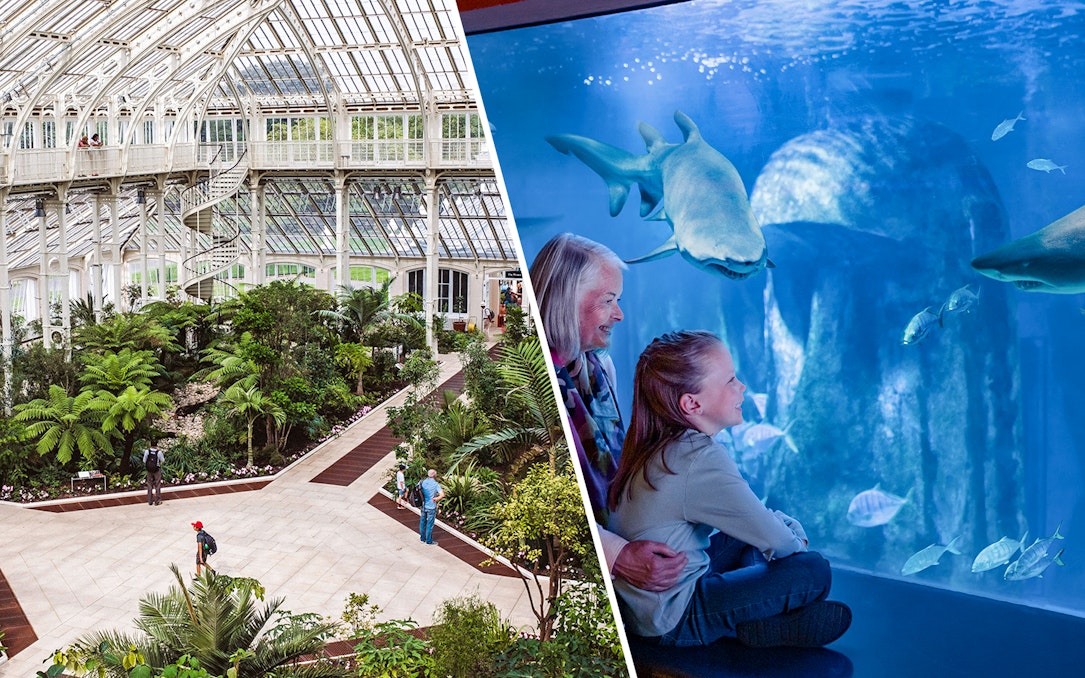 Kew Gardens glasshouse interior and SEA Life aquarium with sharks.