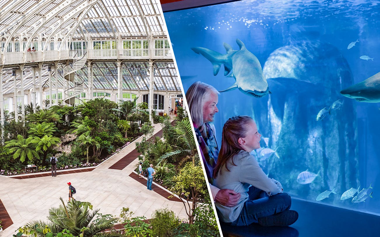 Kew Gardens glasshouse interior and SEA Life aquarium with sharks.