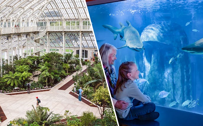 Kew Gardens glasshouse interior and SEA Life aquarium with sharks.