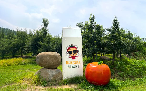Pocheon orchard with cartoon sign and large apple sculpture on fruit picking tour from Seoul.