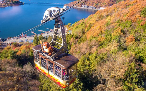 Cable car ascending over autumn trees near Lake Kawaguchi, Mt Fuji Ropeway.