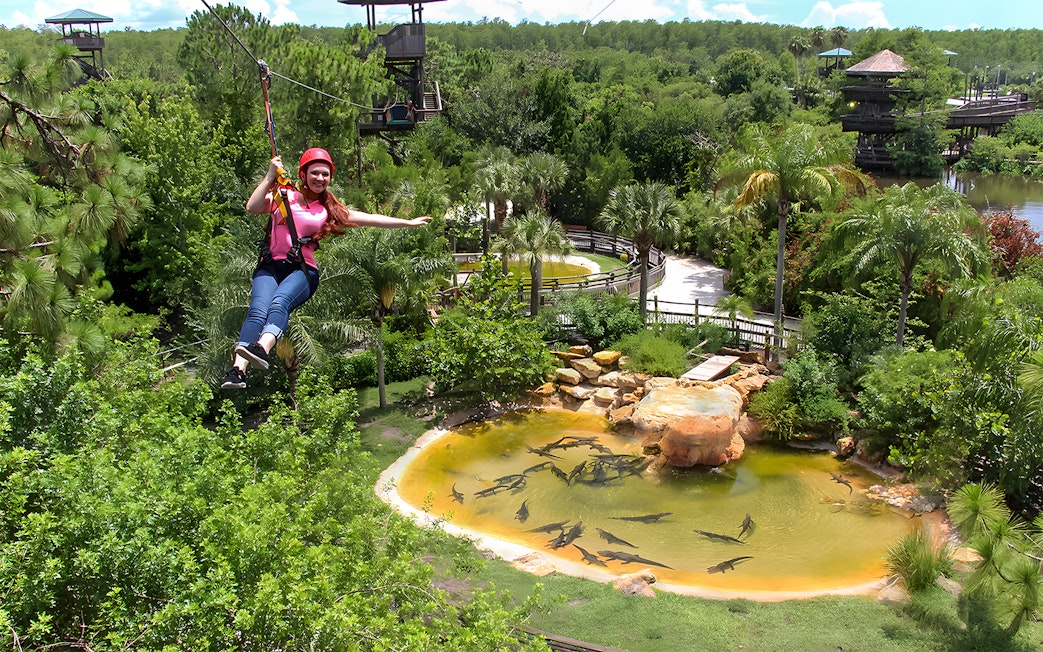 Tourist zip lining over Alligator Breeding Marsh surrounded by lush greenery.