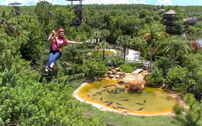 Tourist zip lining over Alligator Breeding Marsh surrounded by lush greenery.