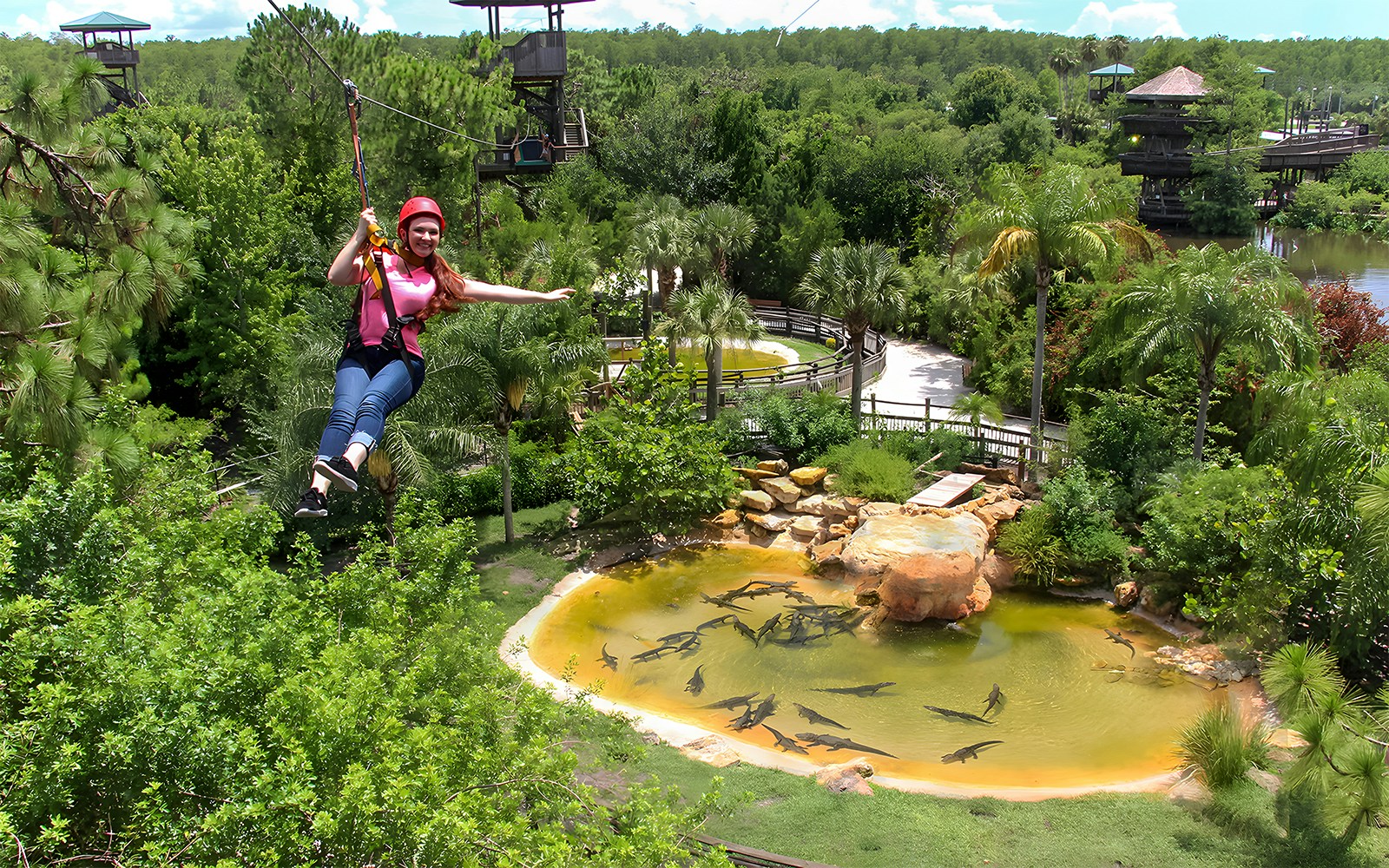 Zip line at Gatorland