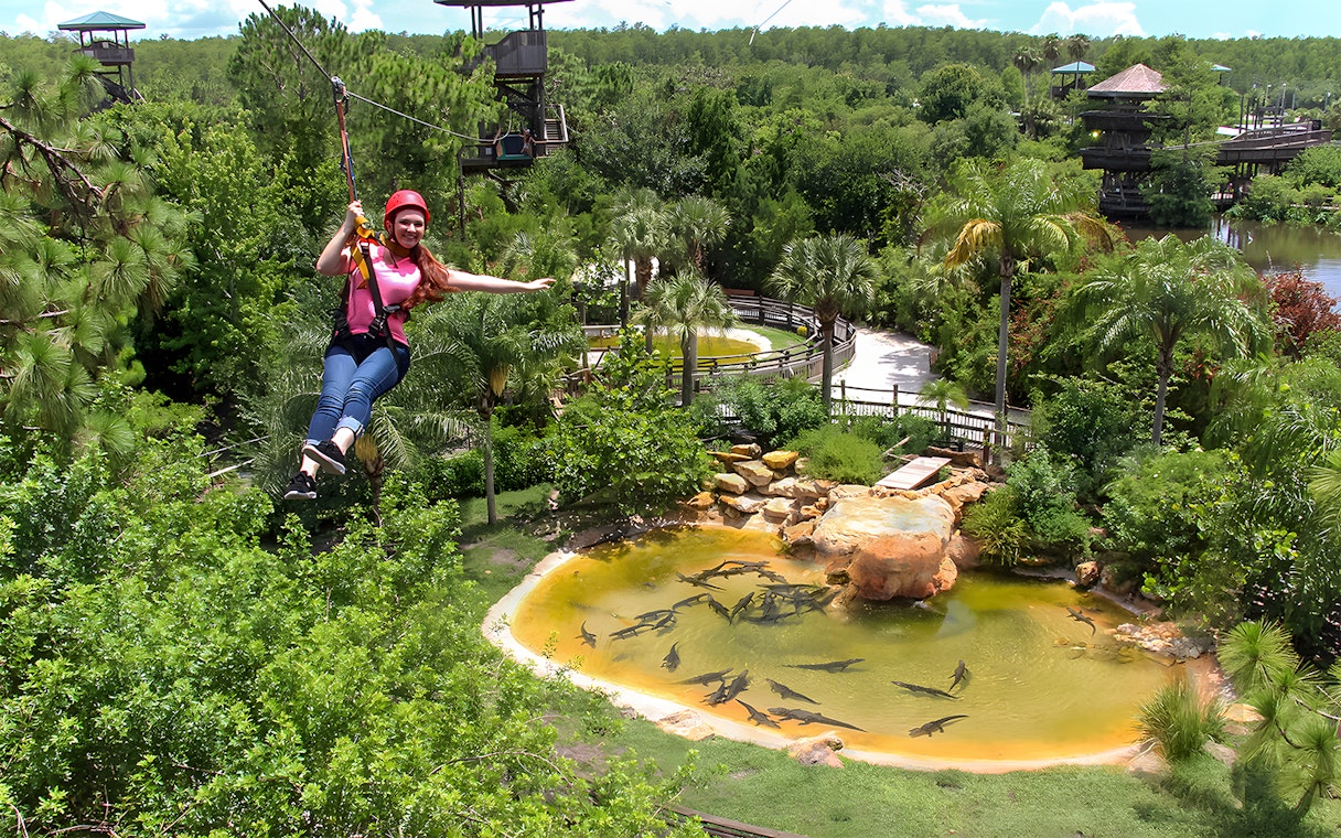 Tourist zip lining over Alligator Breeding Marsh surrounded by lush greenery.