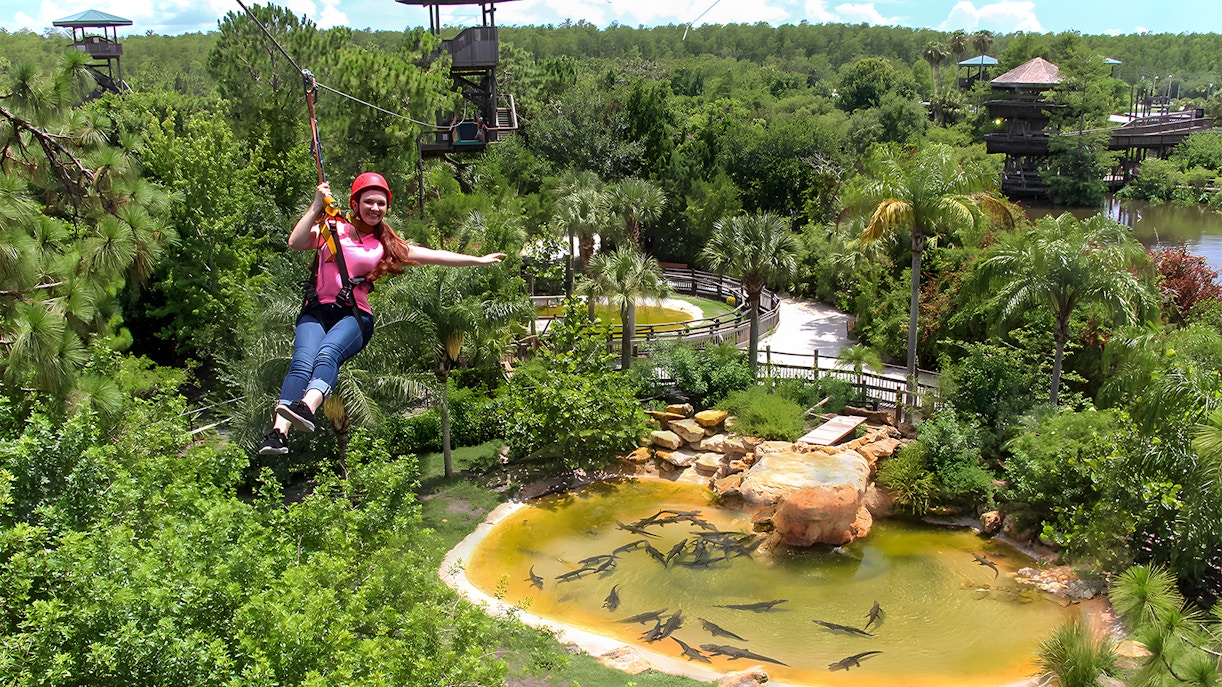 Gatorland zip line