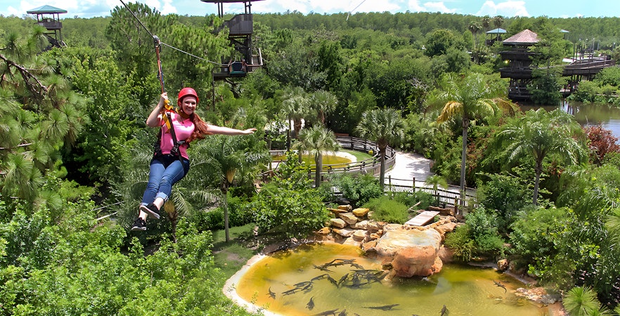 Screamin' Gator Zip Line
