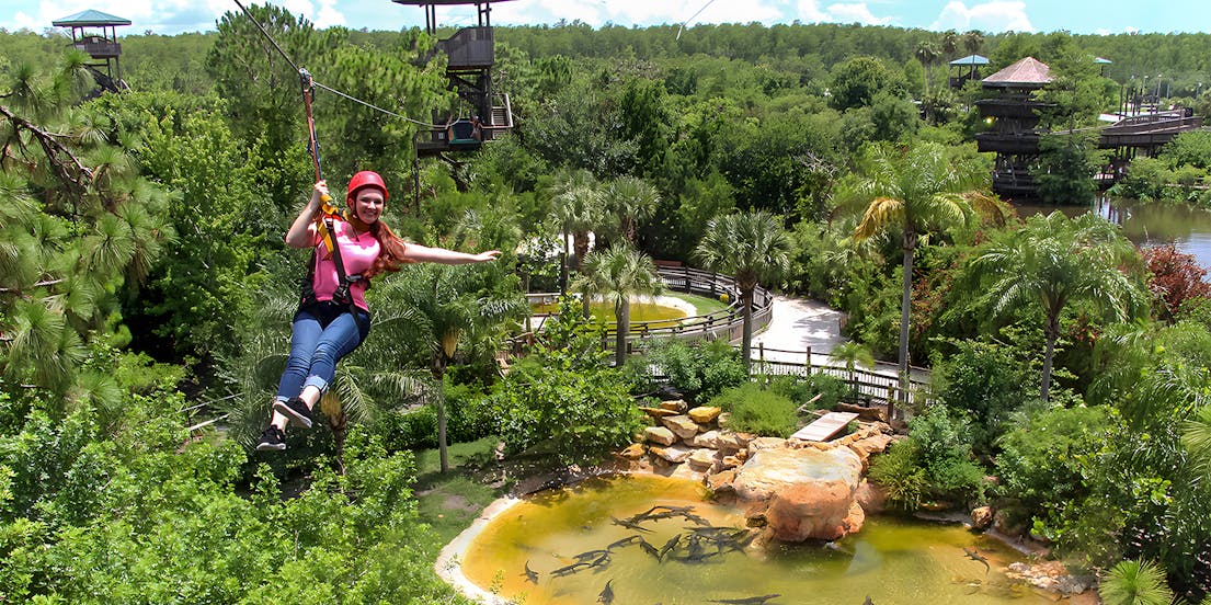 Screamin' Gator Zip Line