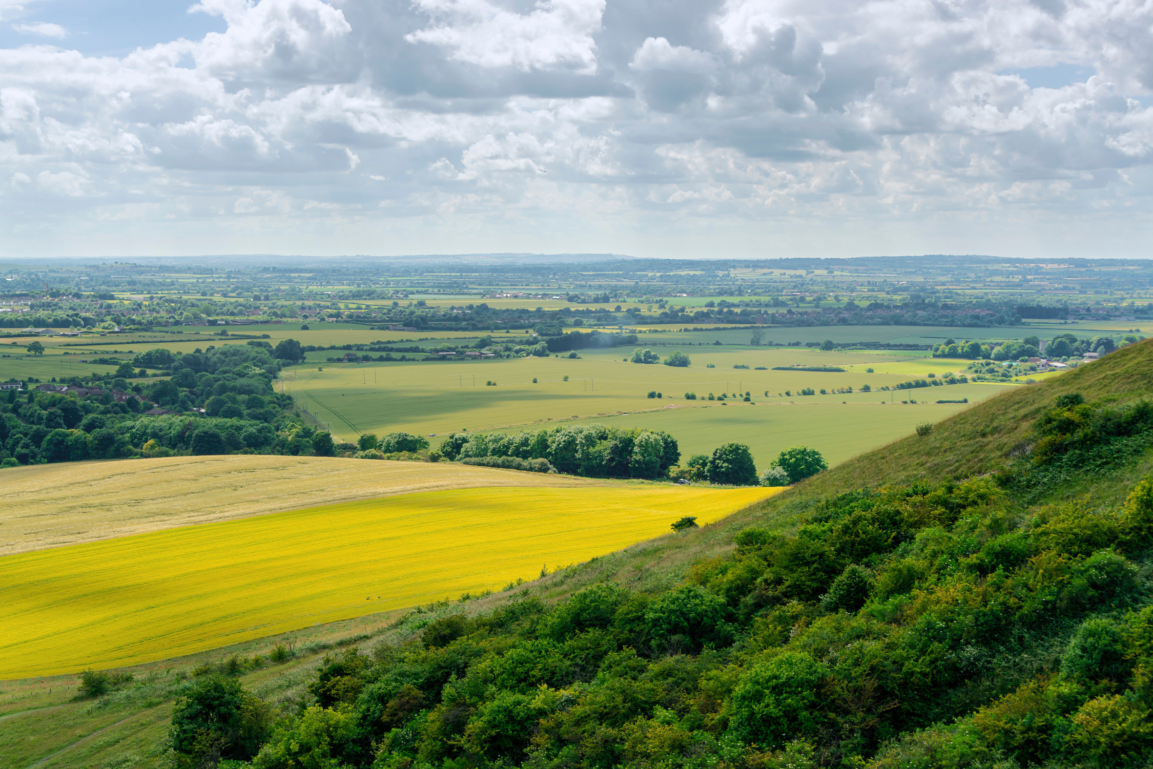 Dunstable Downs