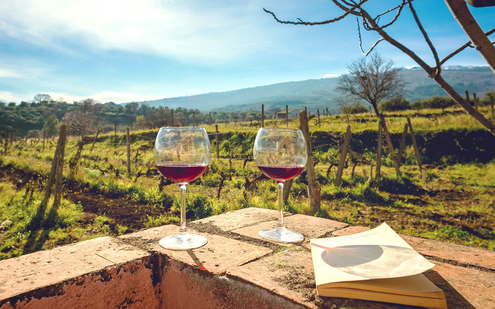 Tornatore Winery Mount Etna