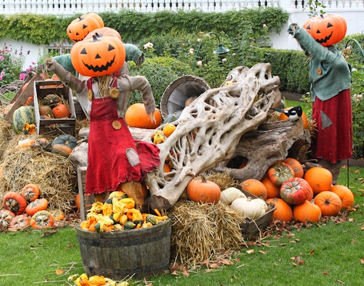 Pumpkin-headed scarecrows in a garden with hay bales and assorted pumpkins.