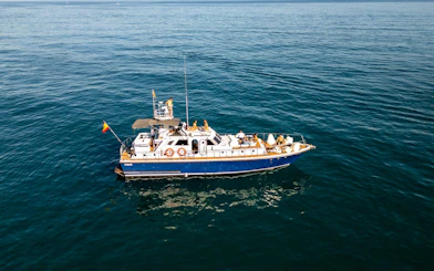 Small group on a boat in Benalmádena for dolphin-watching cruise with snorkeling and paddle surf.