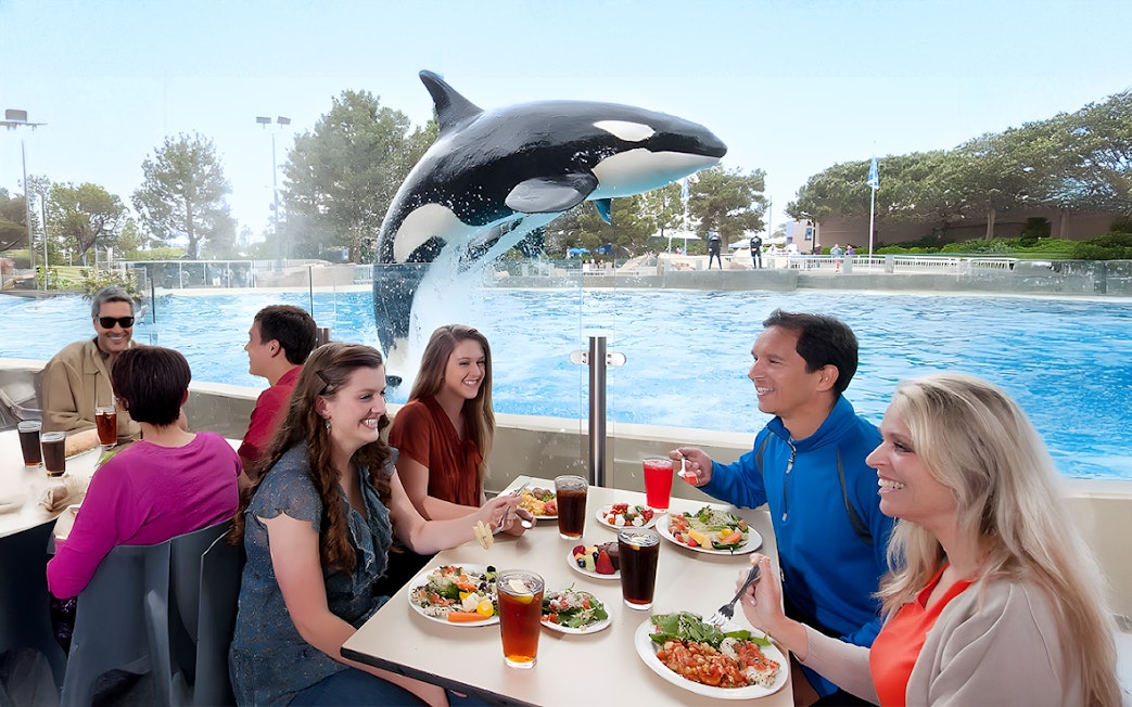 Dining guests watch an orca jump at SeaWorld San Diego.