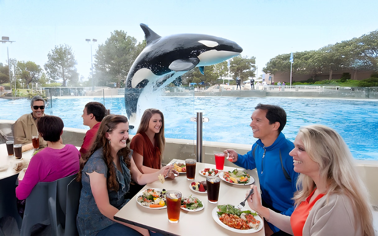 Dining guests watch an orca jump at SeaWorld San Diego.