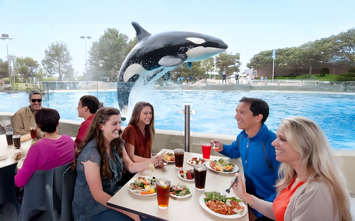 Dining guests watch an orca jump at SeaWorld San Diego.