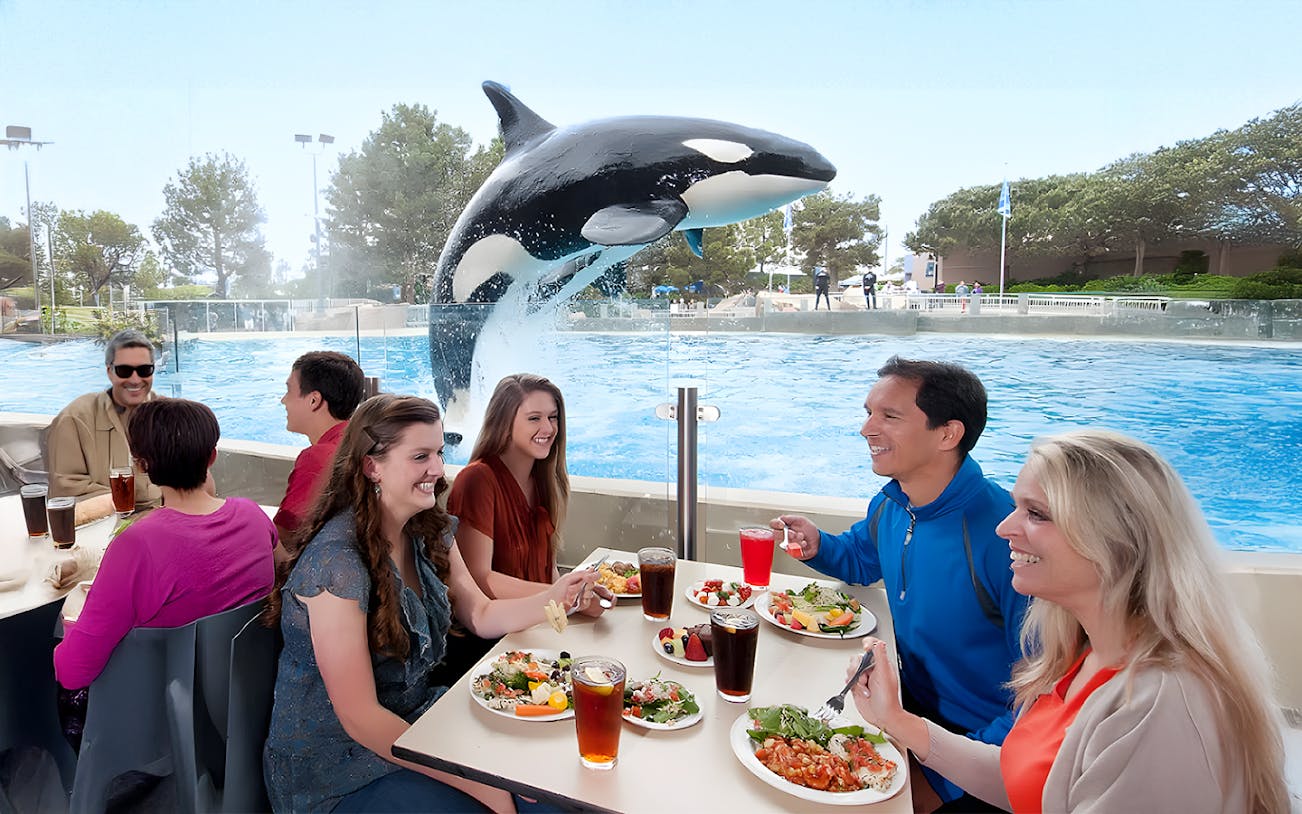 Dining guests watch an orca jump at SeaWorld San Diego.