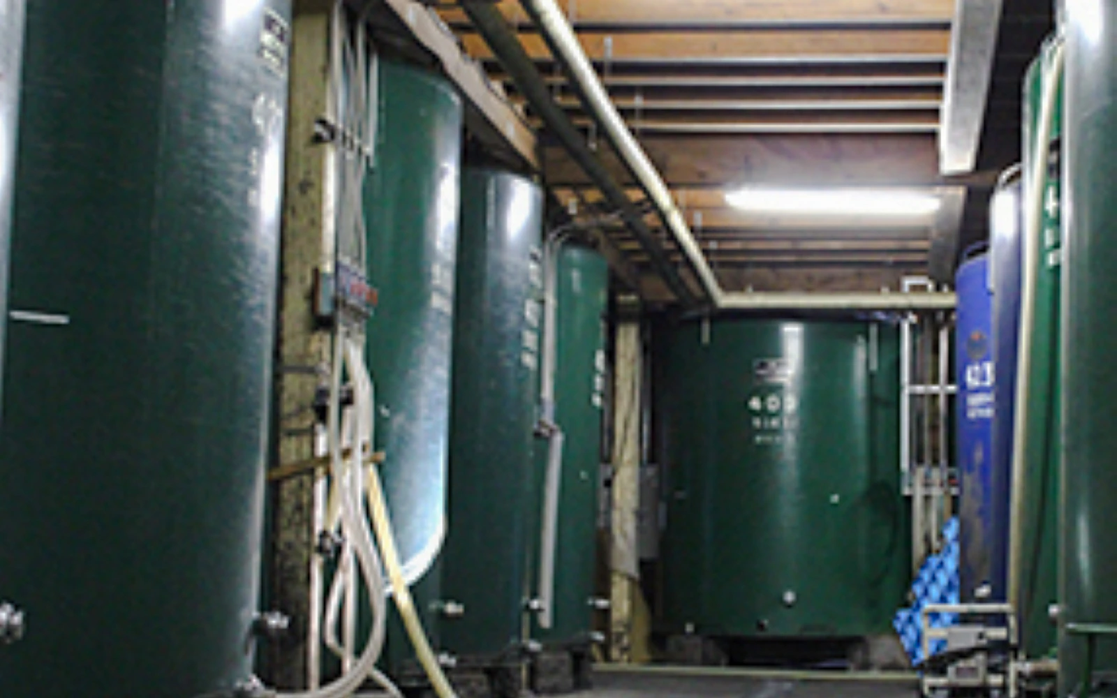 Nagano: Kurosawa Brewery Guided Tour with Sake Tasting (Product 53573)
