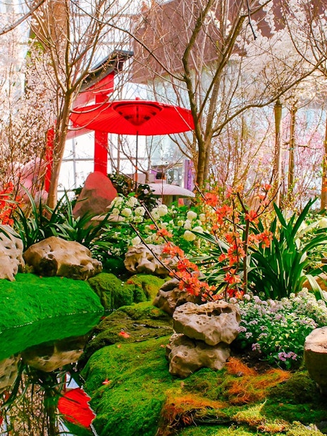 Gardens by the Bay Sakura event with cherry blossoms, red umbrella, and stone lantern.