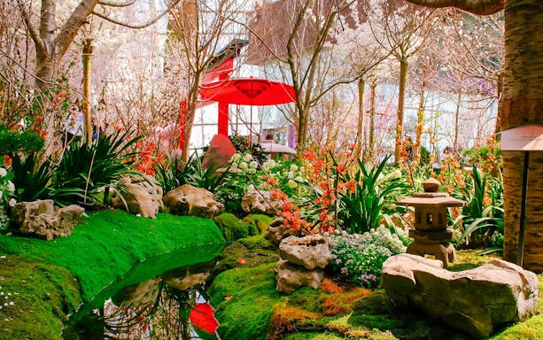 Gardens by the Bay Sakura event with cherry blossoms, red umbrella, and stone lantern.