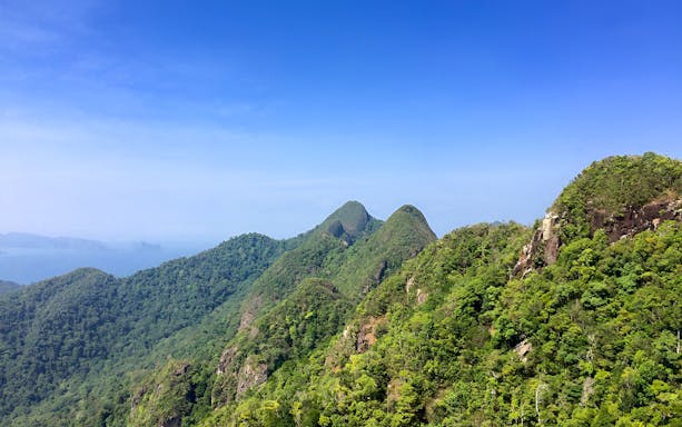 Langkawi lush green hills under clear blue sky, ideal for bird watching tour.