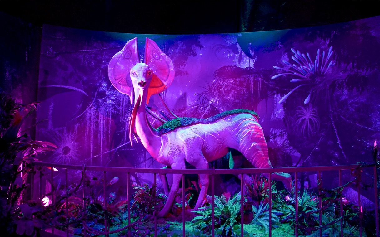 Bioluminescent creature display at Pandora - The World of Avatar, Walt Disney World, Orlando.