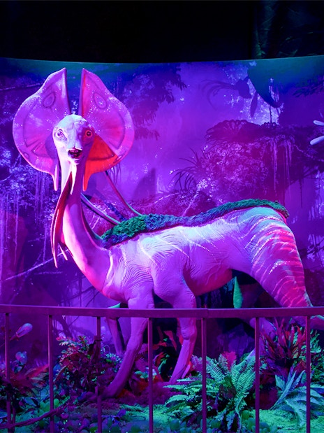 Bioluminescent creature display at Pandora - The World of Avatar, Walt Disney World, Orlando.