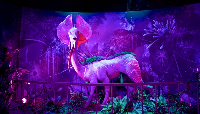 Bioluminescent creature display at Pandora - The World of Avatar, Walt Disney World, Orlando.