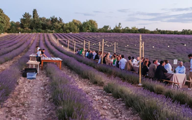 People dining among lavender fields at sunset in Terre Ugo, Provence.