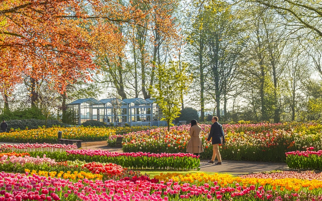 Couple walking through vibrant tulip fields at Keukenhof Gardens.