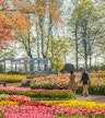 Keukenhof