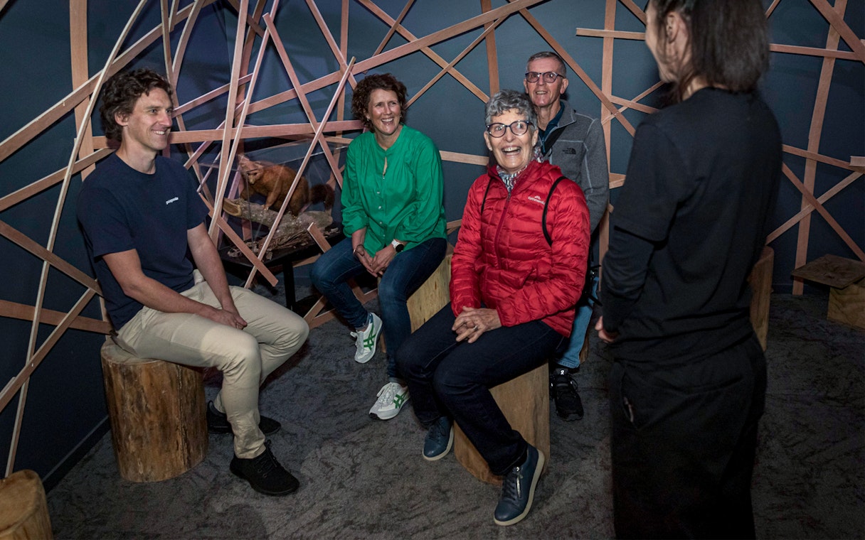 Visitors engaging in a discussion at The National Kiwi Hatchery Tour.