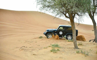 buggy veya dörtlü araç yolculukları, barbekü akşam yemeği ve canlı gösteriler dahil jeep wrangler ile kendi kendine sürüşlü özel çöl safarisi-3