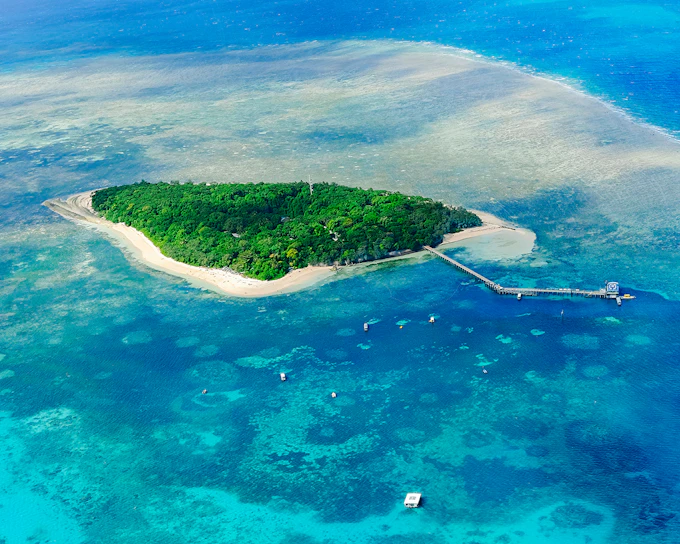 From Cairns: Outer Great Barrier Reef 40‑Minute Scenic Flight
