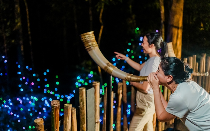 Visitors engaging in interactive activities at Dream Forest Langkawi.