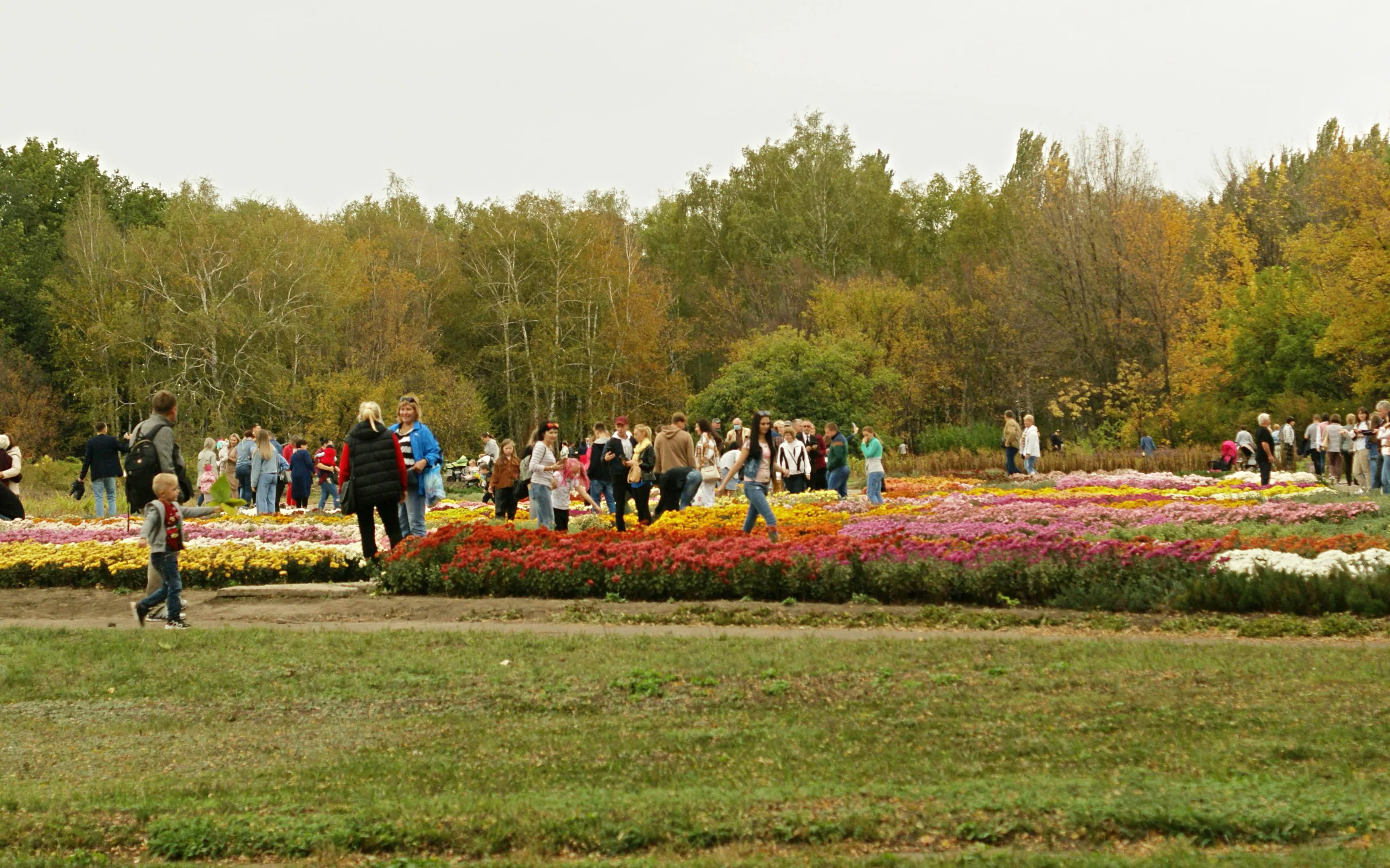 Wijngaardtuin