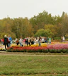 Wijngaardtuin