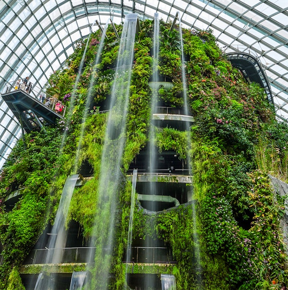 Inside Gardens by the Bay Cloud Forest: What to see & explore
