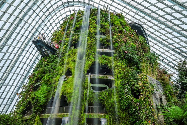 Cloud forest, Gardens by the Bay