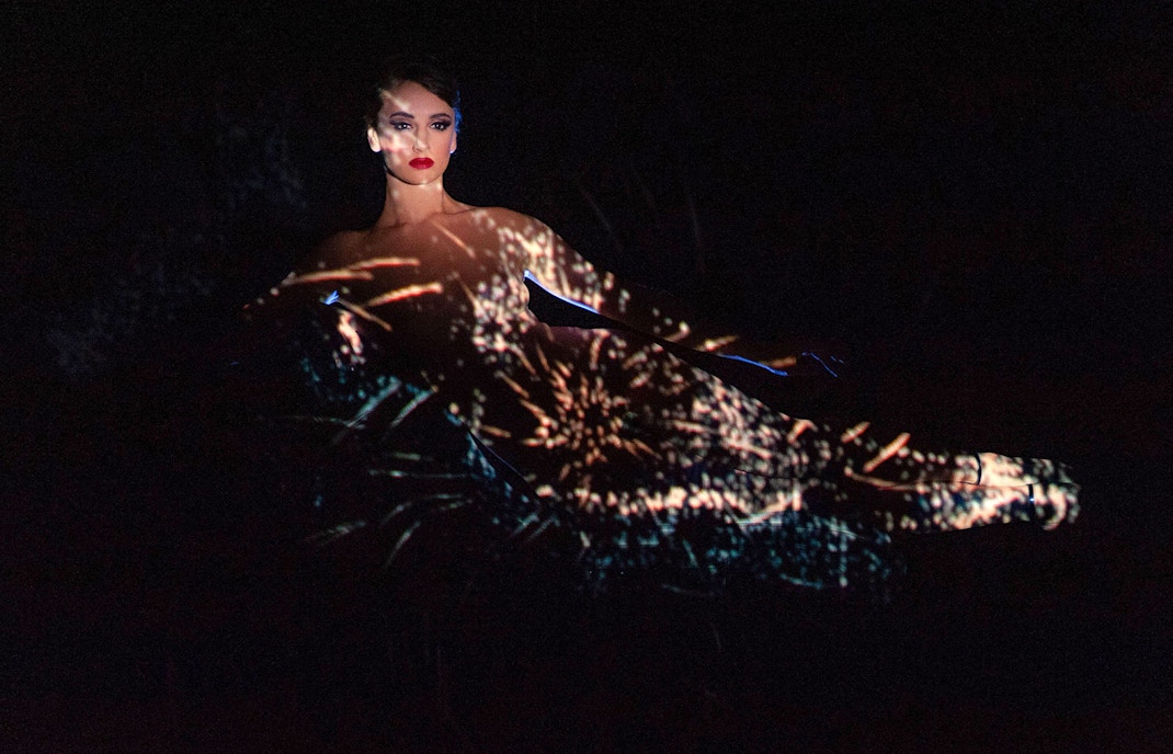 Crazy Horse Paris show