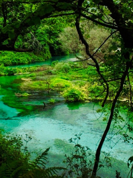 The Blue Eye of Theth, Albania, surrounded by lush greenery and clear turquoise water.