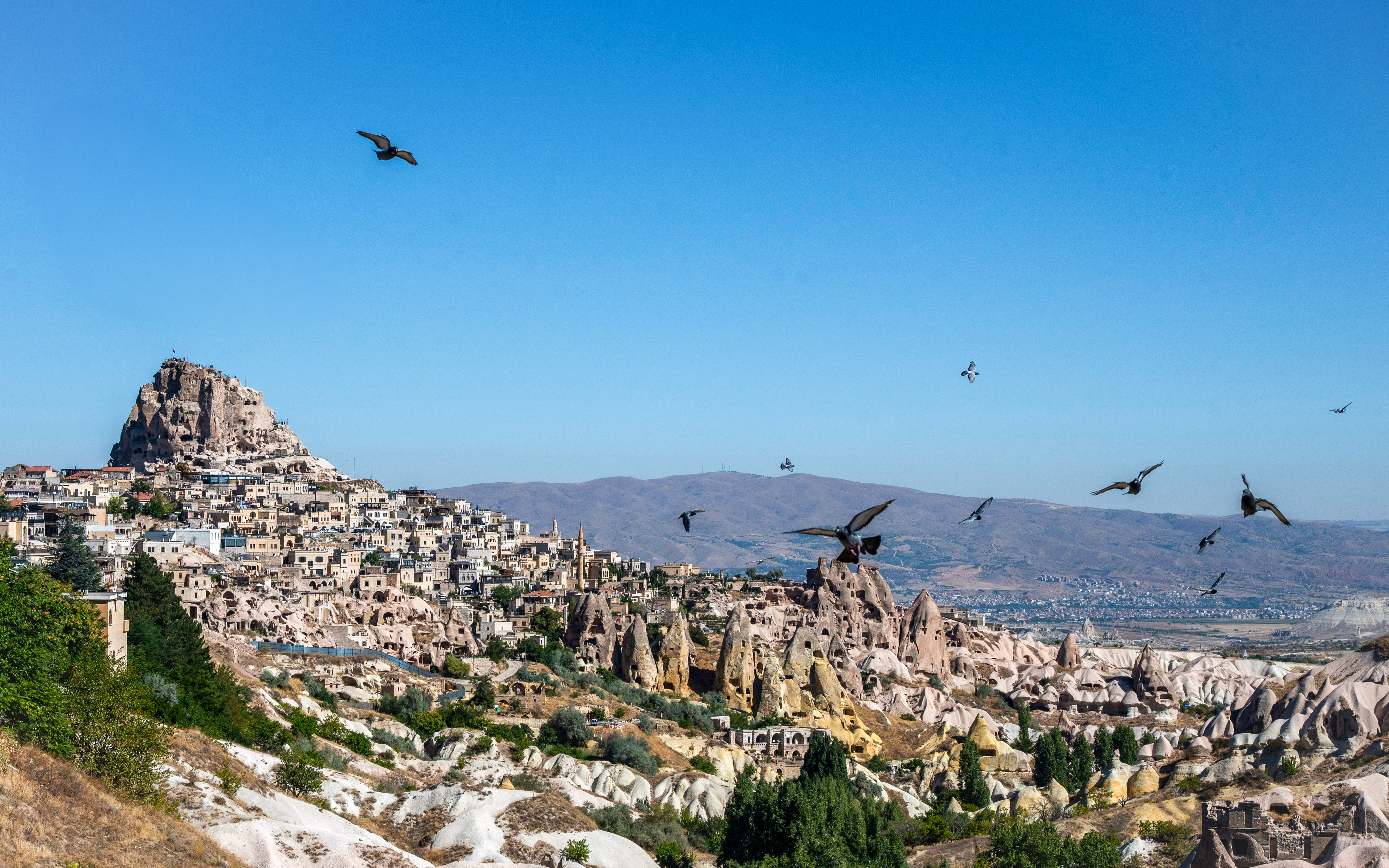 Pigeon Valley in Cappadocia with Uçhisar Castle in the background and pigeons flying overhead.
