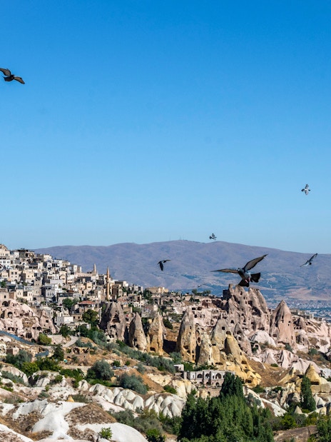 Pigeon Valley in Cappadocia with Uçhisar Castle in the background and pigeons flying overhead.