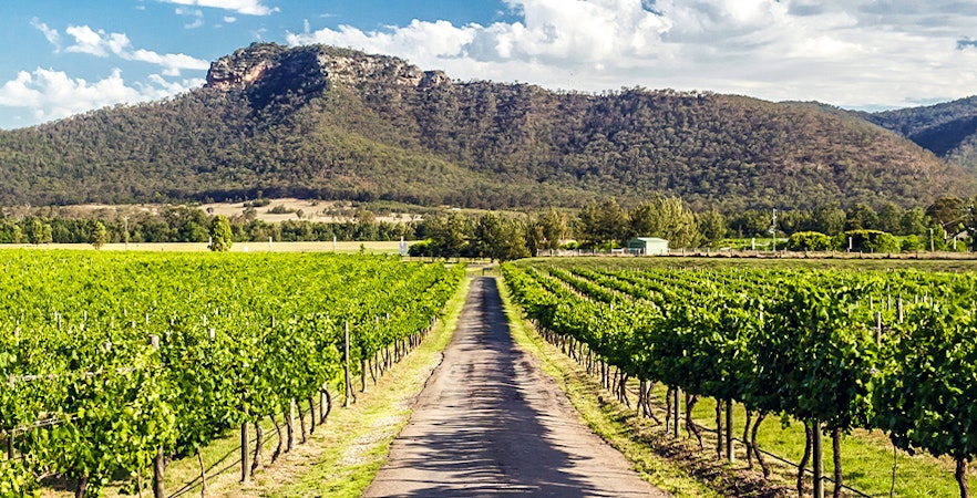 Hunter Valley Wein Touren