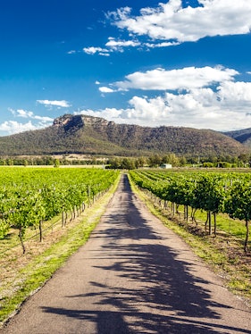 Vineyard path leading to mountains in Hunter Valley, Sydney.