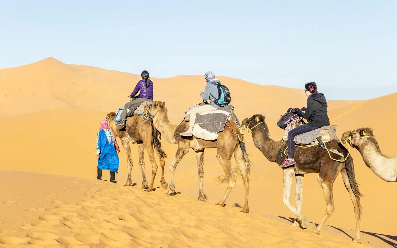 From Ouarzazate: Draa Valley and Tinfou Dunes Trip with Camel Ride