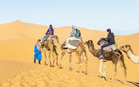 From Ouarzazate: Draa Valley and Tinfou Dunes Trip with Camel Ride