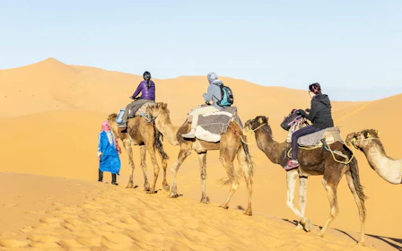 From Ouarzazate: Draa Valley and Tinfou Dunes Trip with Camel Ride